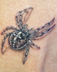 04   Tiere   Tattoo Hamburg Skinworxx